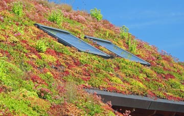 Halcon living roof systems