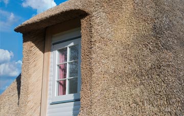 Halcon thatch roof disadvantages